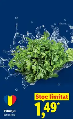 Lidl Pătrunjel Ofertă