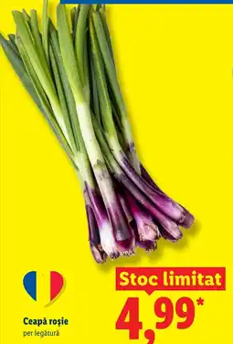 Lidl Ceapă roşie Ofertă