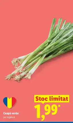 Lidl Ceapă verde Ofertă
