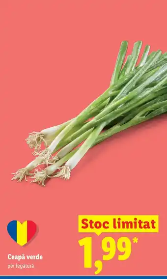 Lidl Ceapă verde Ofertă