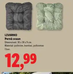 Lidl LIVARNO Pernǎ scaun Ofertă