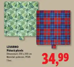 Lidl LIVARNO Pătură picnic Ofertă