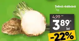 PROFI Telină rădăcină Ofertă