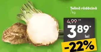 PROFI Telină rădăcină Ofertă