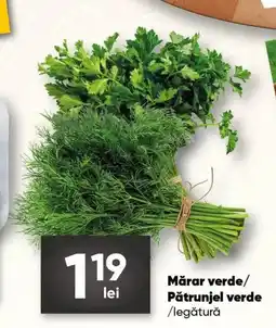 PROFI Mǎrar verde/ Pătrunjel verde Ofertă