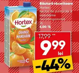 PROFI Băutură răcoritoare Hortex Ofertă