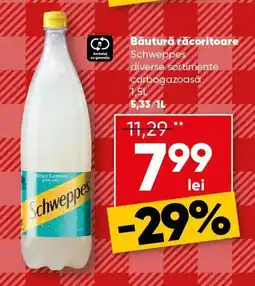 PROFI Băutură răcoritoare Schweppes Ofertă