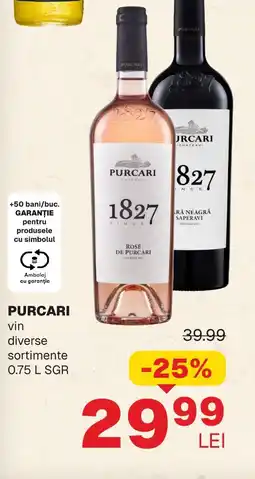 Annabella PURCARI vin Ofertă