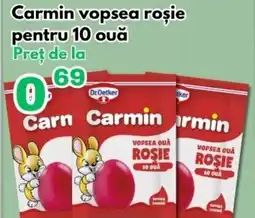 Global Carmin vopsea roșie pentru 10 ouă Ofertă