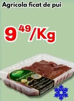 Global Agricola ficat de pui Ofertă