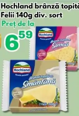 Global Hochland brânză topită Felii Ofertă