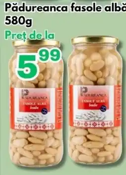 Global Pădureanca fasole albă Ofertă