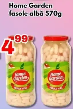 Global Home Garden fasole albă Ofertă