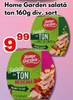 Global Home Garden salată ton Ofertă