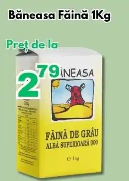 Global Băneasa Făină Ofertă