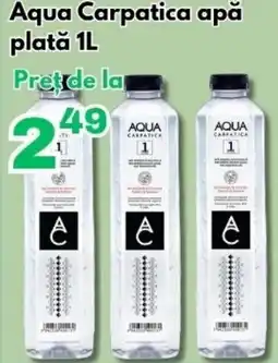 Global Aqua Carpatica apă plată Ofertă