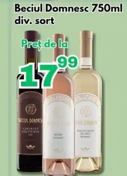 Global Beciul Domnesc Ofertă