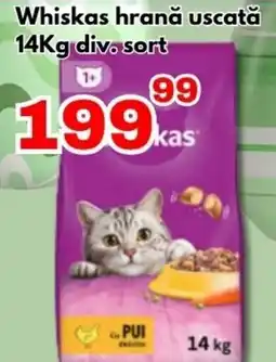 Global Whiskas hrană uscată Ofertă