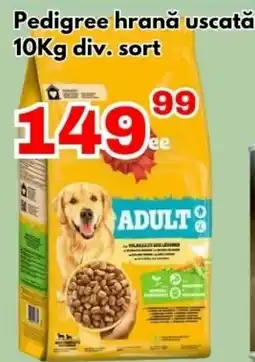 Global Pedigree hrană uscată Ofertă