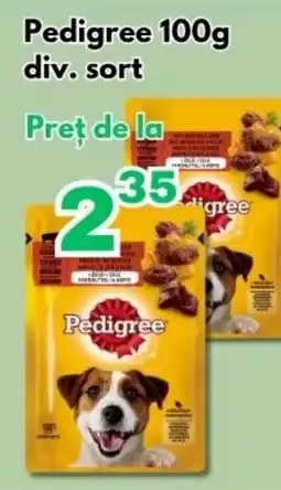 Global Pedigree Ofertă