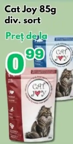 Global Cat Joy Ofertă