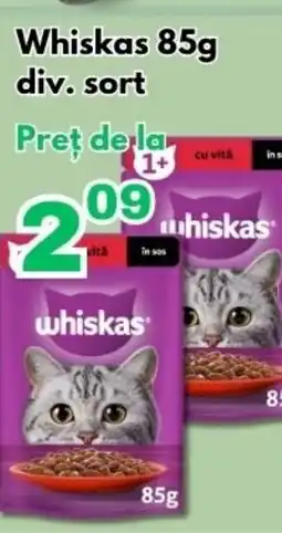Global Whiskas Ofertă