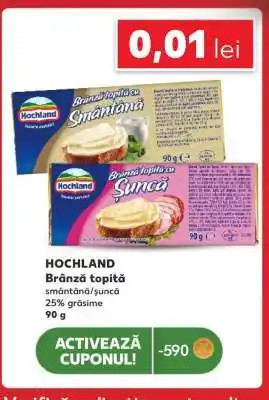HOCHLAND Brânză topită