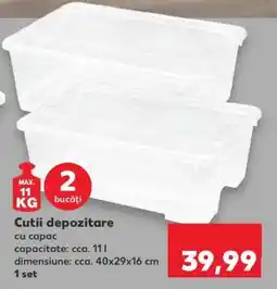 Kaufland Cutii depozitare Ofertă