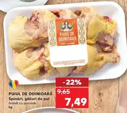 Kaufland PUIUL DE ODINIOARĂ Ofertă