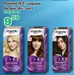 Global Palette ICC, vopsea de pår Ofertă