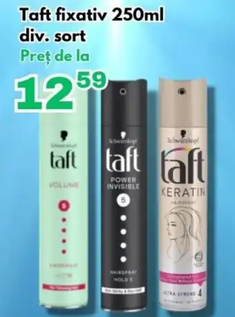 Global Taft fixativ Ofertă