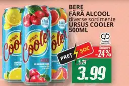 Diana Supermarket Bere fără alcool diverse sortimente ursus cooler Ofertă