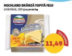 Penny HOCHLAND Brânză topită felii Ofertă