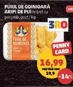 Penny PUIUL DE ODINIOARĂ ARIPI DE PUI Ofertă