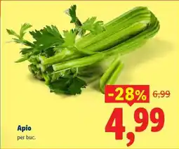 Lidl Apio Ofertă
