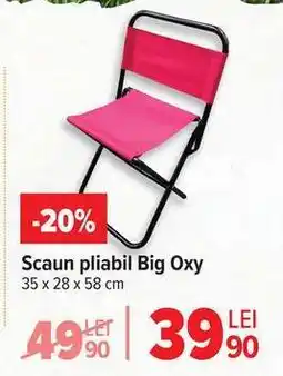 Carrefour Scaun pliabil Big Oxy Ofertă