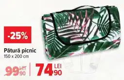 Carrefour Pătură picnic Ofertă