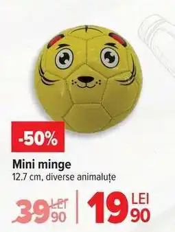 Carrefour Mini minge Ofertă