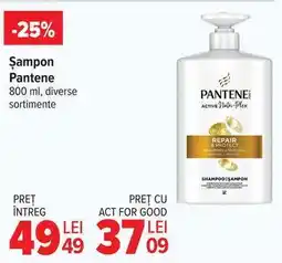 Carrefour Șampon Pantene Ofertă