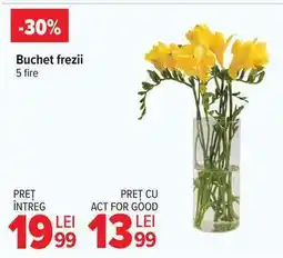 Carrefour Buchet frezii Ofertă