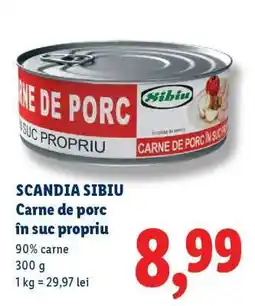 Lidl SCANDIA SIBIU Carne de porc în suc propriu Ofertă