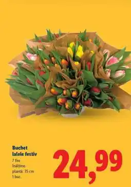 Lidl Buchet lalele festiv Ofertă
