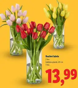 Lidl Buchet lalele Ofertă