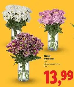 Lidl Buchet crizanteme Ofertă