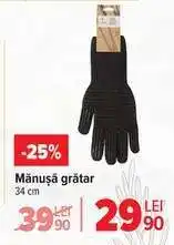 Carrefour Mănușă grătar Ofertă