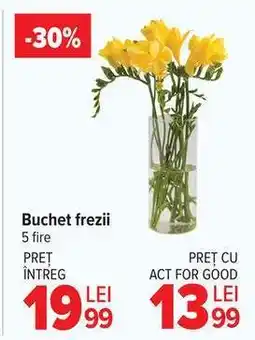 Carrefour Buchet frezii Ofertă