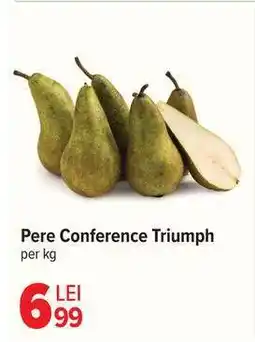 Carrefour Pere Conference Triumph Ofertă