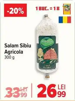 Carrefour Salam Sibiu Agricola Ofertă