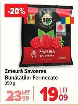Carrefour Zmeură Savoarea Bunătăților Fermecate Ofertă