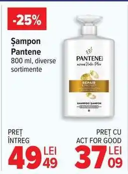 Carrefour Șampon Pantene Ofertă